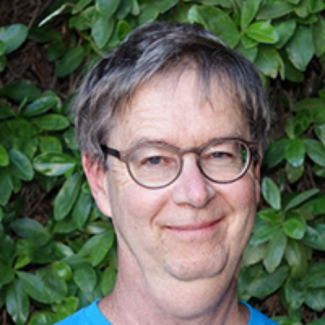 John Foran